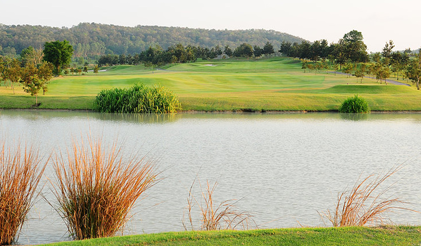 Thailand Silky Oak Country Club