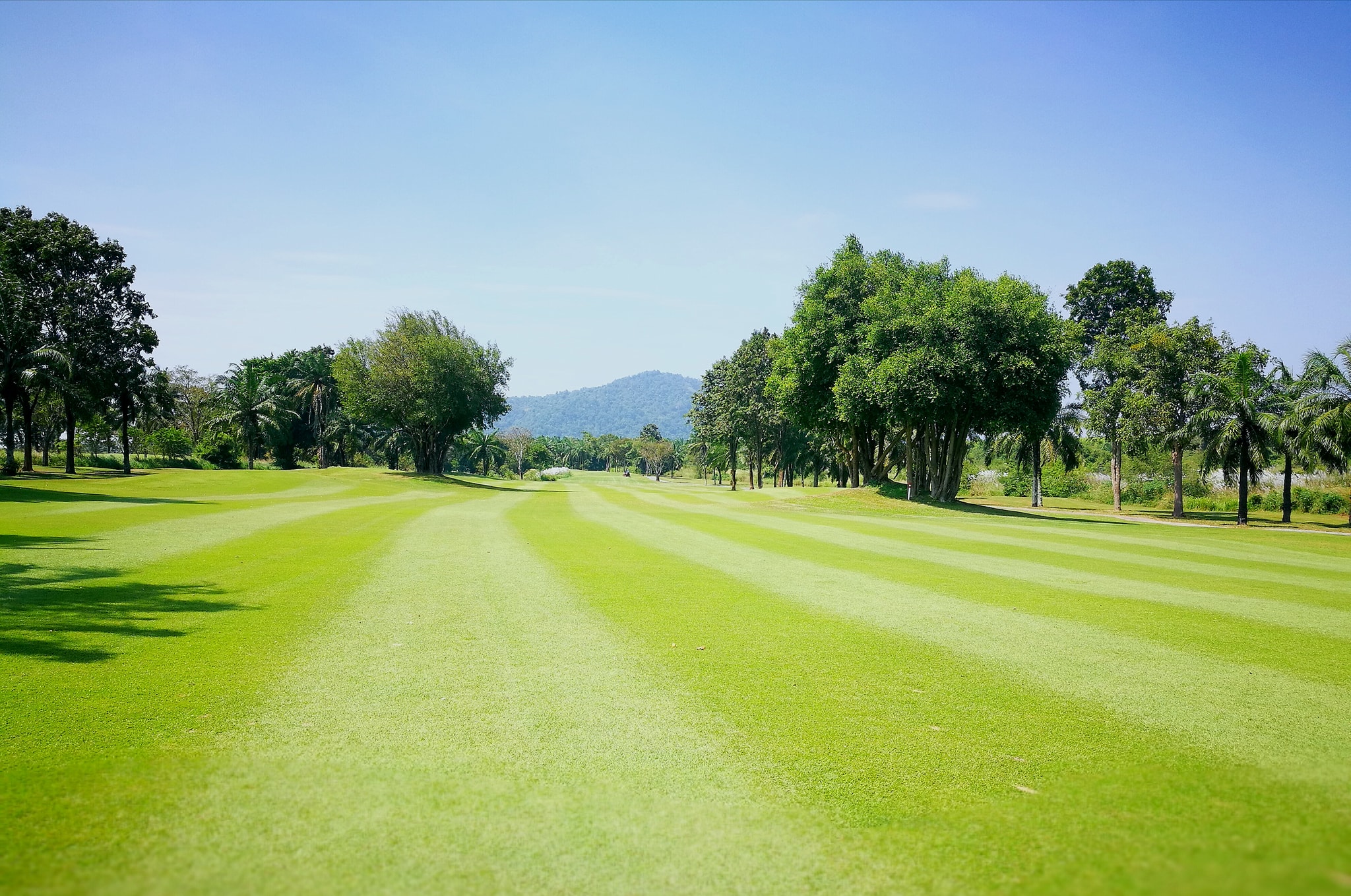 Thailand Pattavia Country Golf Club